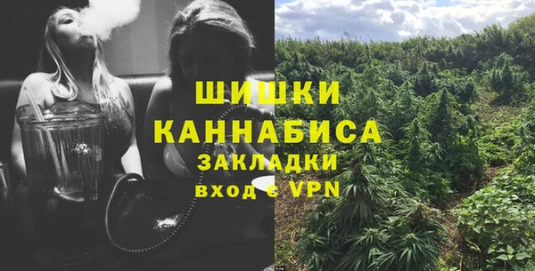 метадон Ельня