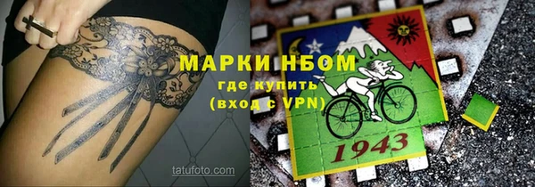 сатива Елабуга