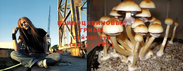 a pvp Нея