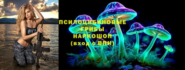 метадон Ельня