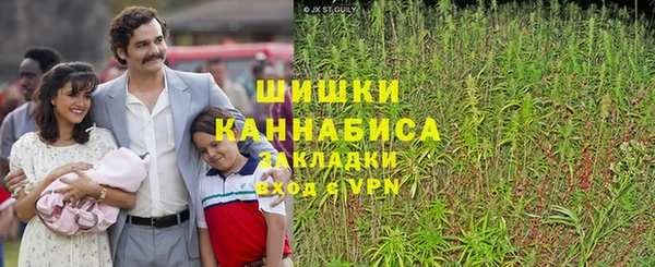 метадон Ельня