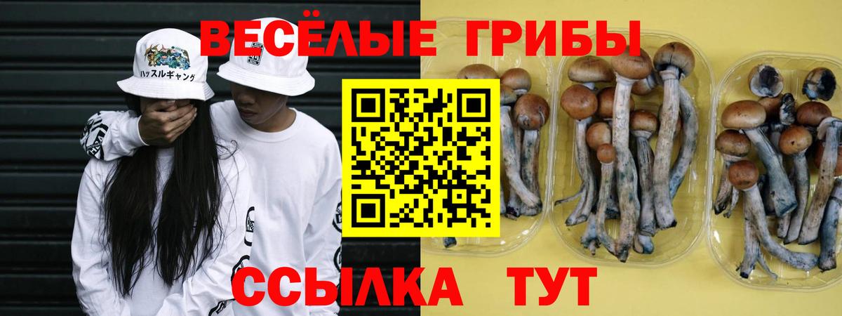 Реж  Галлюциногенные грибы Magic Shrooms  Вход с VPN 
