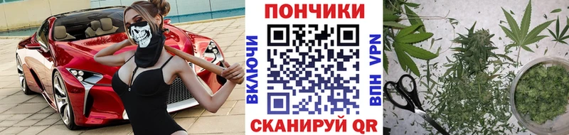 Шишки марихуана сатива  Реж 